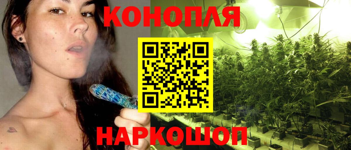 Шишки марихуана индика Губкин